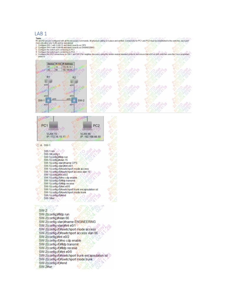 Lab | PDF