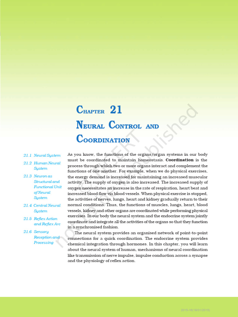 Neural and Coordination | PDF | Chemical Synapse | Synapse