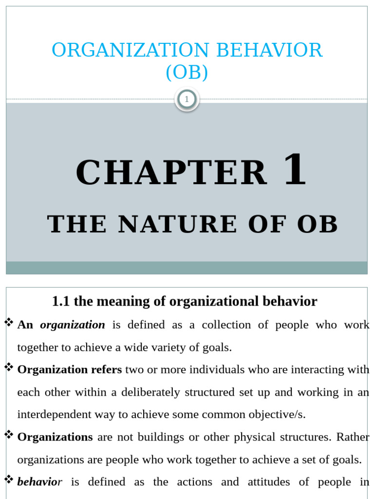 Understanding Organizational Behavior | PDF | Learning | System