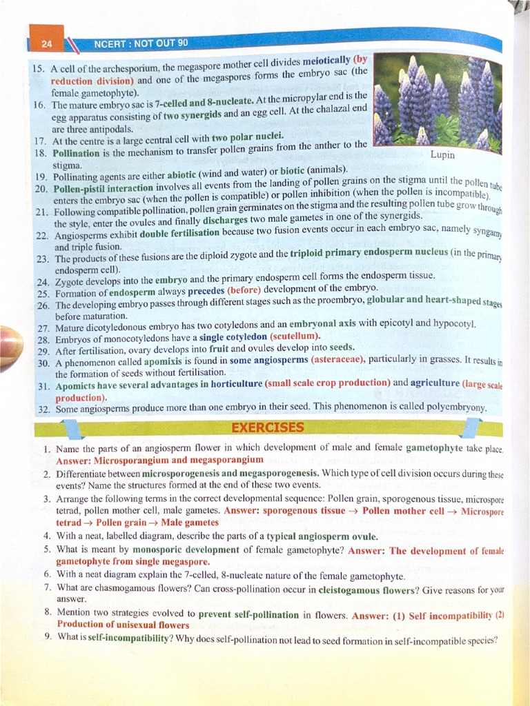 Not Out 90 Unit 6 & 7 Class 12 | PDF