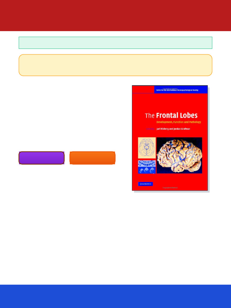 The Frontal Lobes Development Function and Pathology 1st Edition Jarl ...