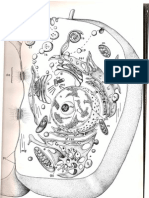 Imgens de Microscopia Electrónica