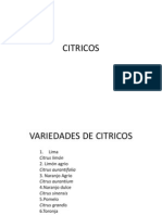 Citric Os