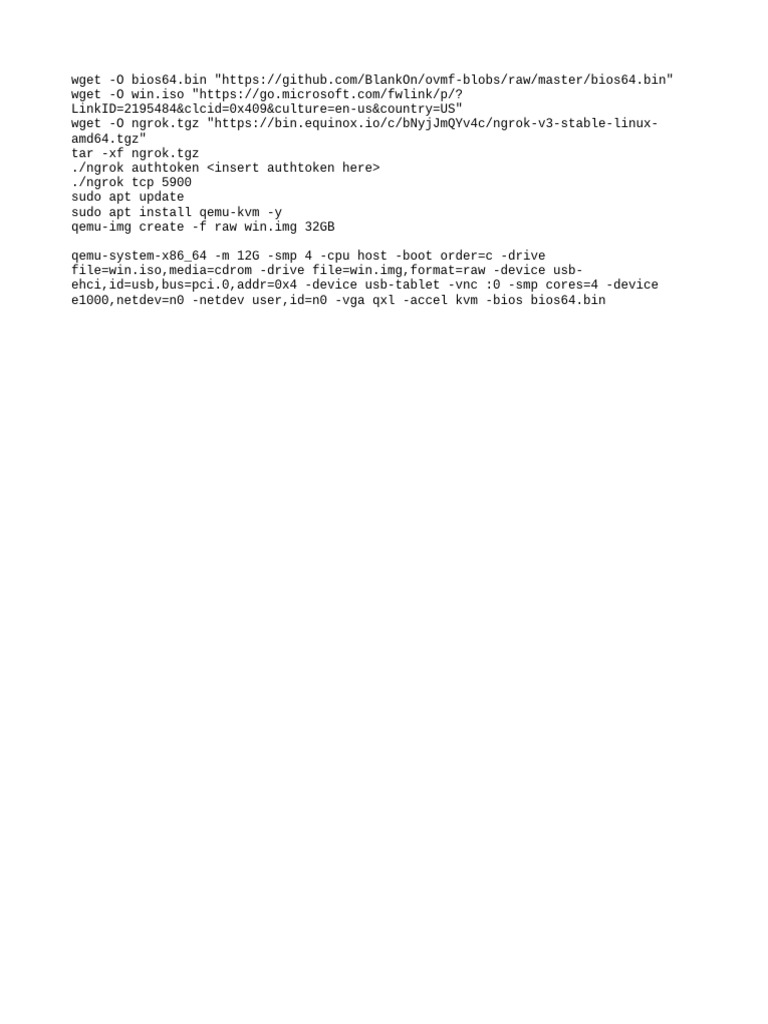 QEMU Windows Setup Guide with Ngrok | PDF