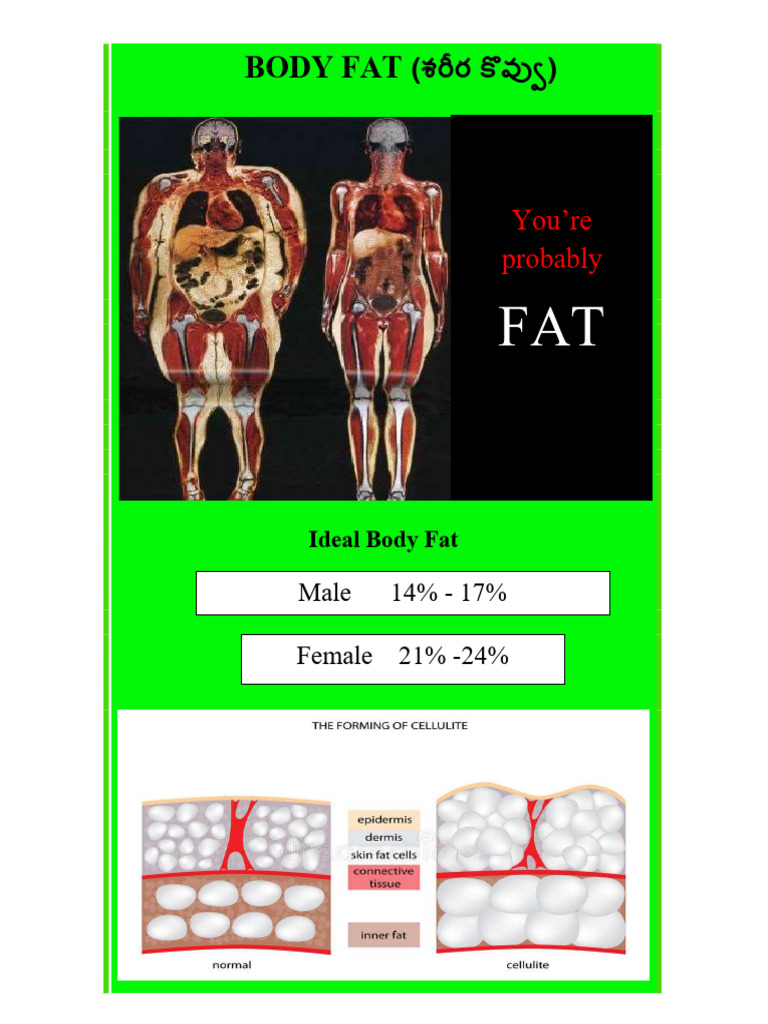 Body Fat | PDF