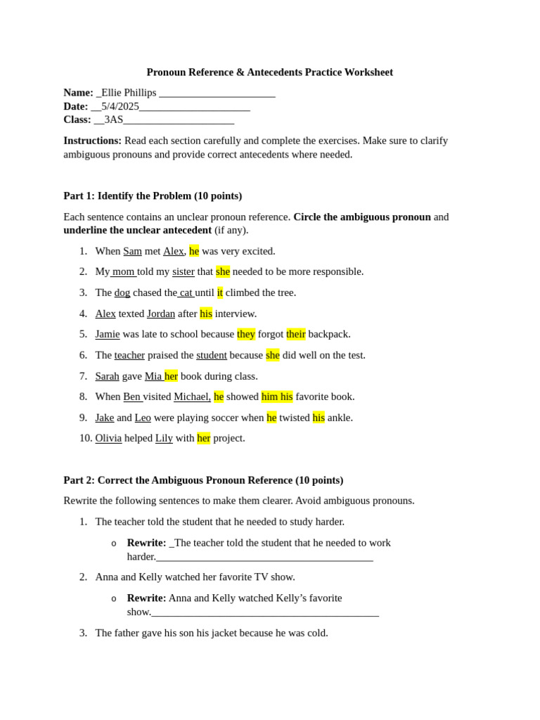 Pronoun Reference Practice Worksheet | PDF