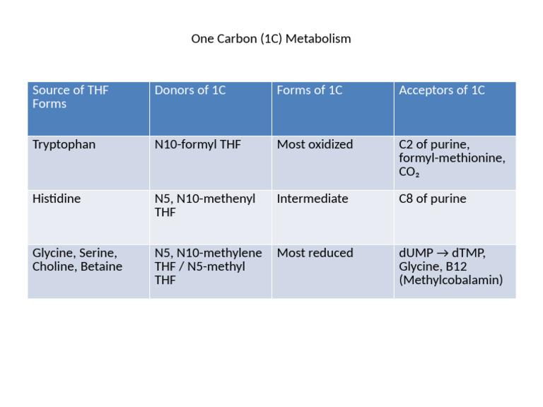 One Carbon Metabolism Table | PDF