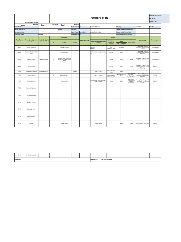 Vincent Vibes Control Plan Overview | PDF
