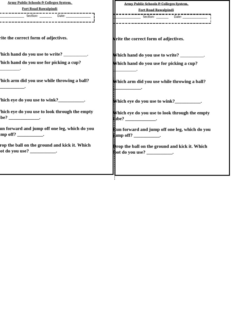 Adjective Exercise for Students | PDF