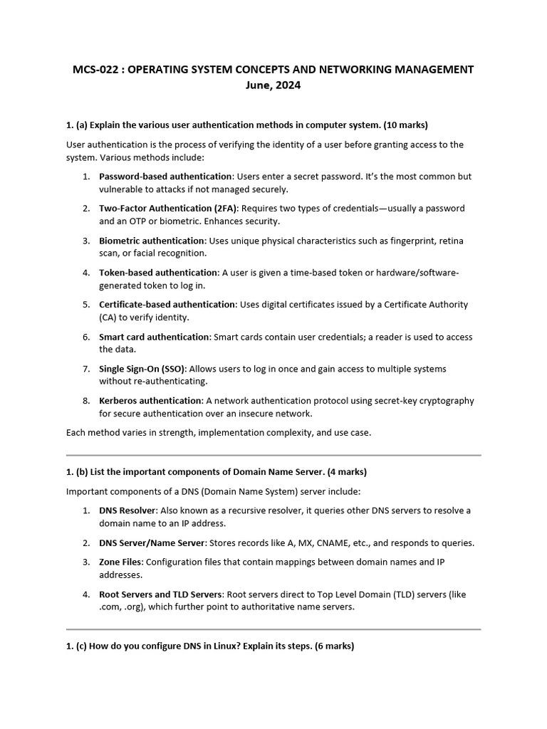 User Authentication and DNS Configuration Guide | PDF | Proxy Server ...