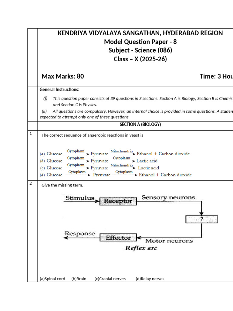 Class X Science Model Question Paper | PDF | Ion | Anode