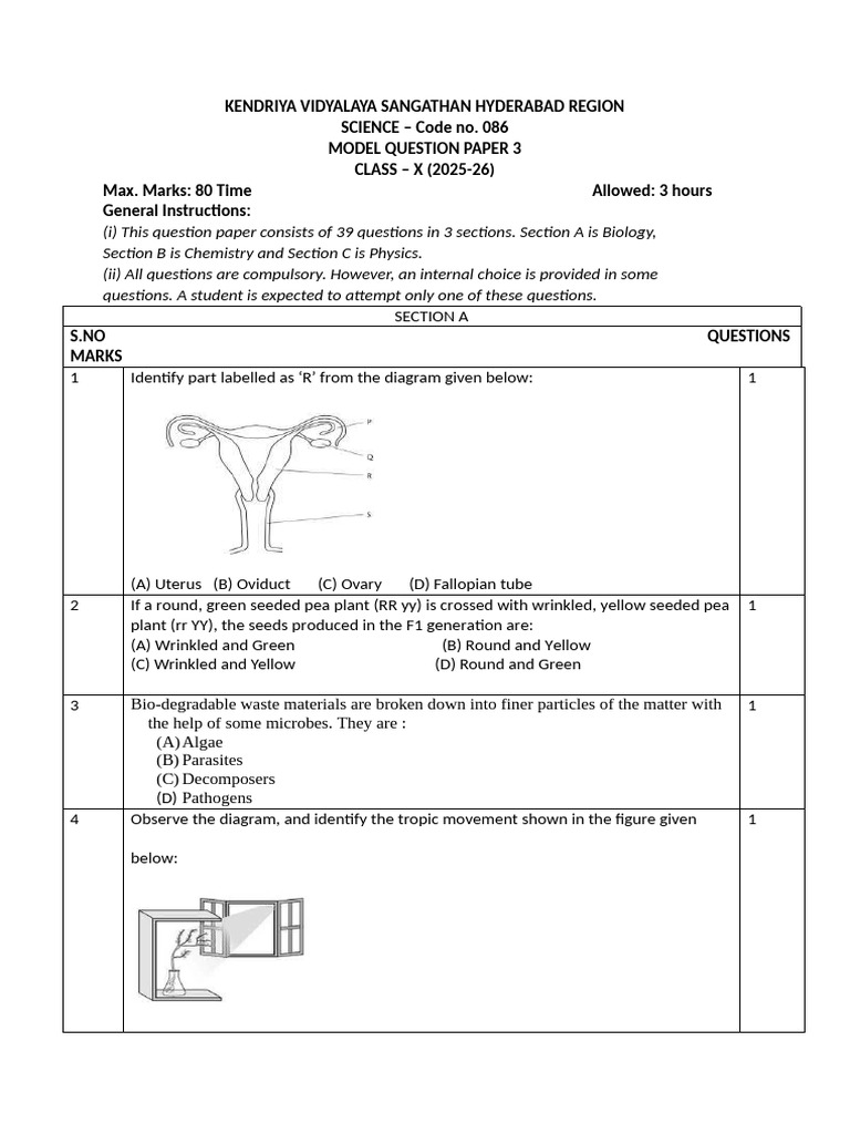 Class X Science Model Question Paper 2025-26 | PDF | Oxide | Chemical ...