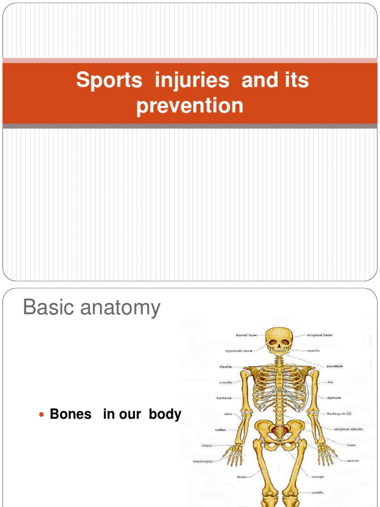 Sports Injury Prevention and Care Guide | PDF | Muscle | Dance Science