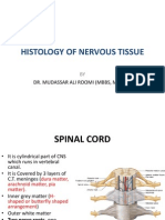 Histology of Spinal Cord and Cerebellum by Dr. ROOMI