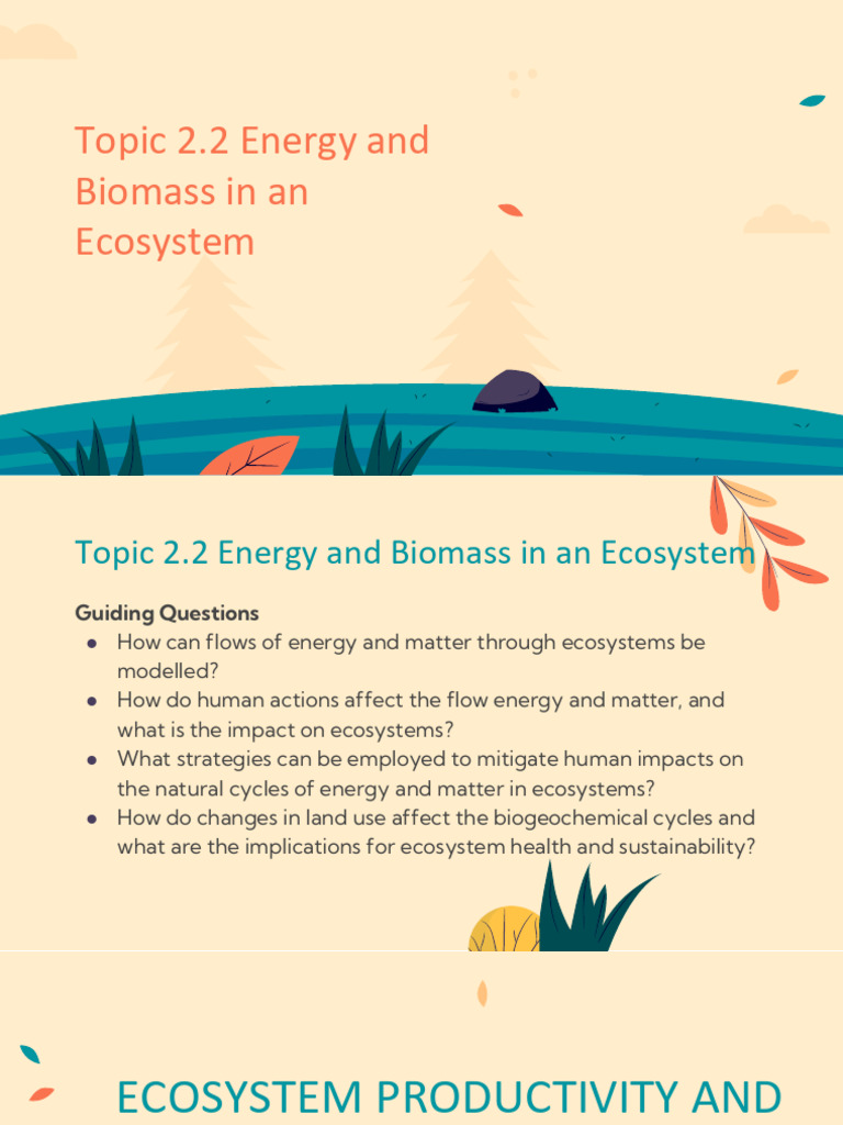 Energy Flow and Biomass in Ecosystems | PDF | Food Web | Ecosystem