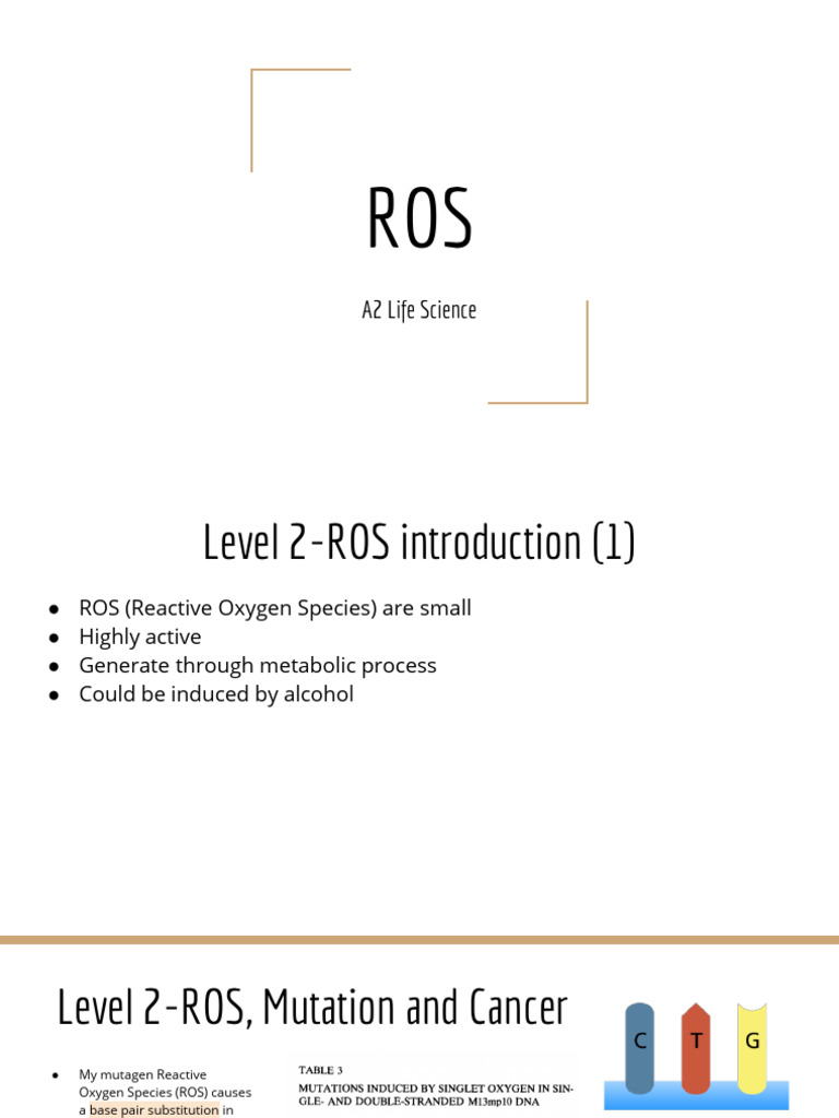 ROS and Breast Cancer Correlation | PDF | Reactive Oxygen Species | Cancer