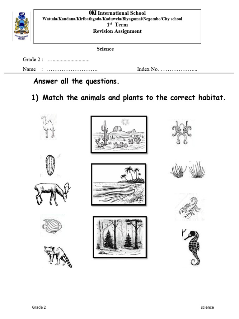 Grade 2 Science Revision Assignment | PDF | Materials