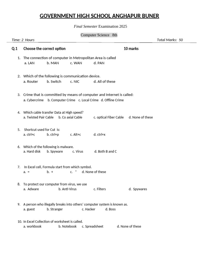 2025 Computer Science Exam Paper | PDF | Microsoft Excel | Cybercrime