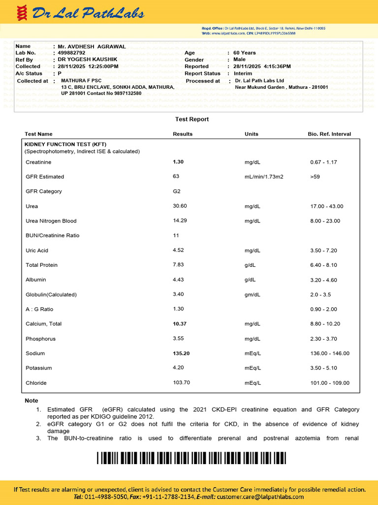 Kidney Function Test Report for Male 60 | PDF | Kidney | Medical ...