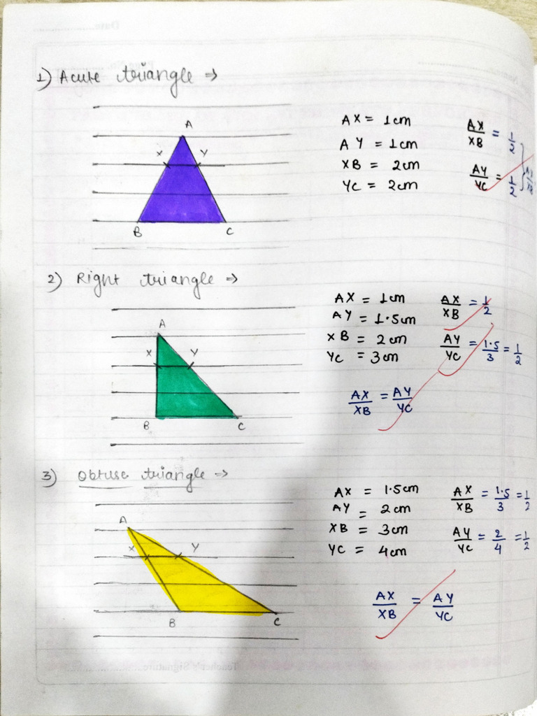Geometry Experiment Documentation | PDF