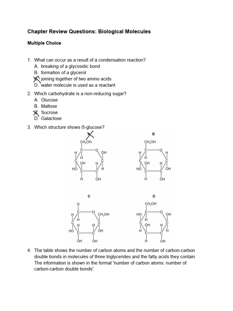 Biological Molecules Review Questions | PDF | Carbohydrates | Glucose