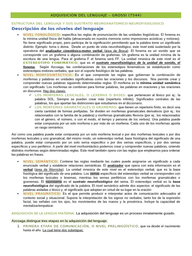 Estructura y Etapas de la Adquisición del Lenguaje | PDF | Afasia | Palabra