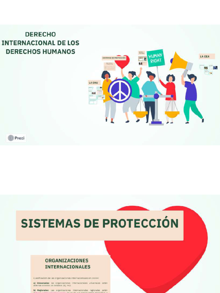 TEMA - DERECHO INTERNACIONAL DE LOS DDHH | PDF
