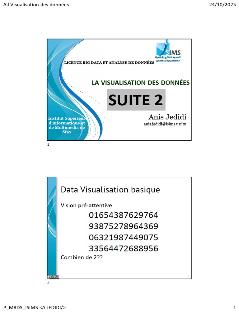 Guide de Visualisation des Données | PDF | Informatique | Sciences de l ...