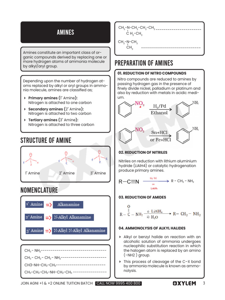 Amines - Insta Learn _ Pdf_removed | PDF | Amine | Chemical Compounds