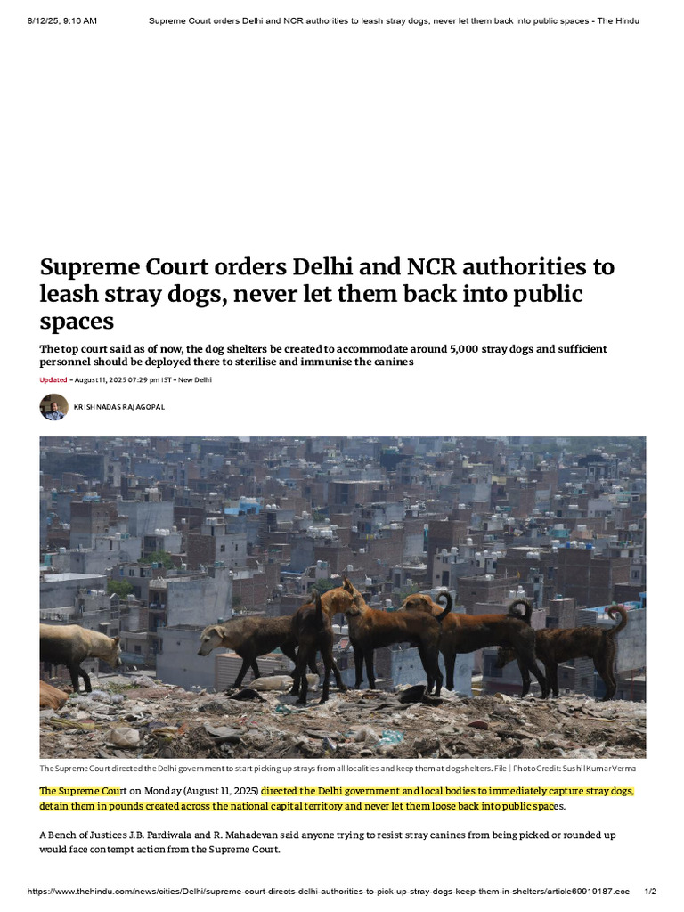 SC Orders Permanent Removal of Stray Dogs From Public Spaces in Delhi ...