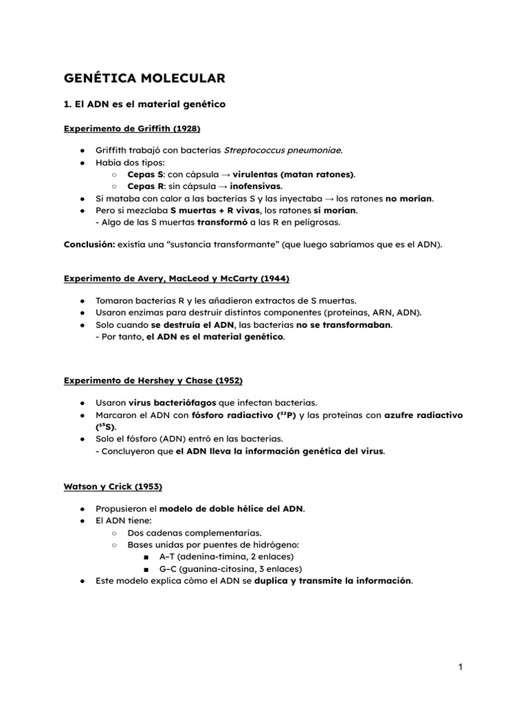 Fundamentos de la Genética Molecular | PDF | Adn | Replicación De Adn