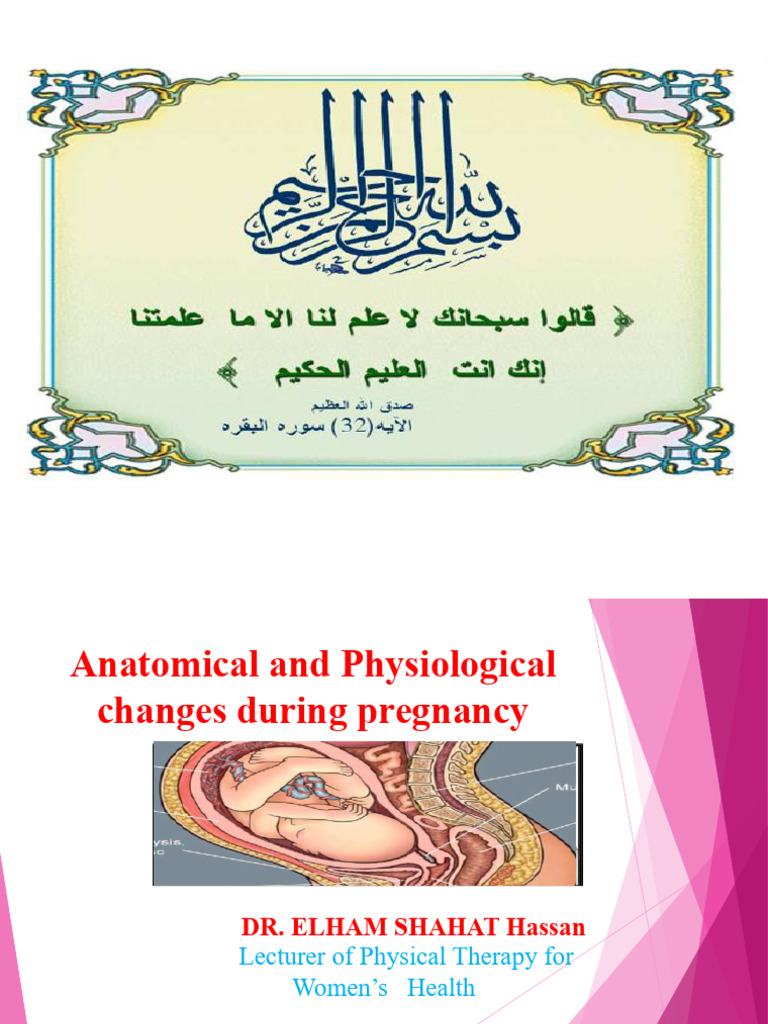 2 - Anatomicl & Physiological Changes During Prenancy | PDF | Uterus ...