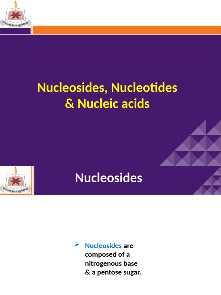 Nucleosides, Nucleotides, and Nucleic Acids | PDF | Nucleotides | Dna