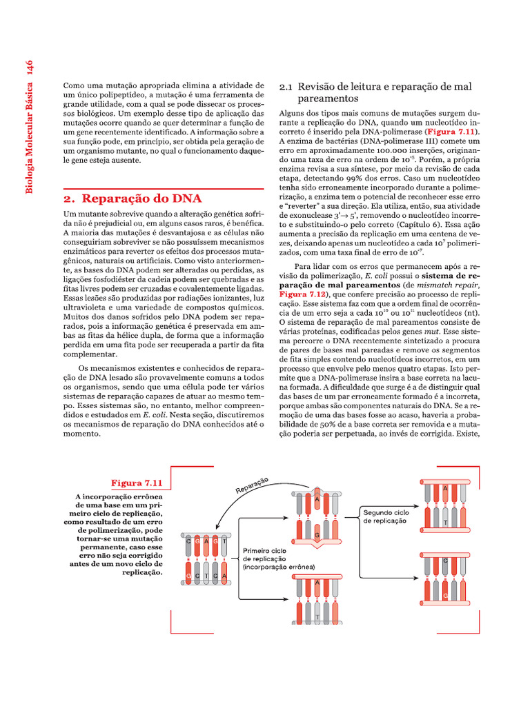 Bio Mol 1 | PDF