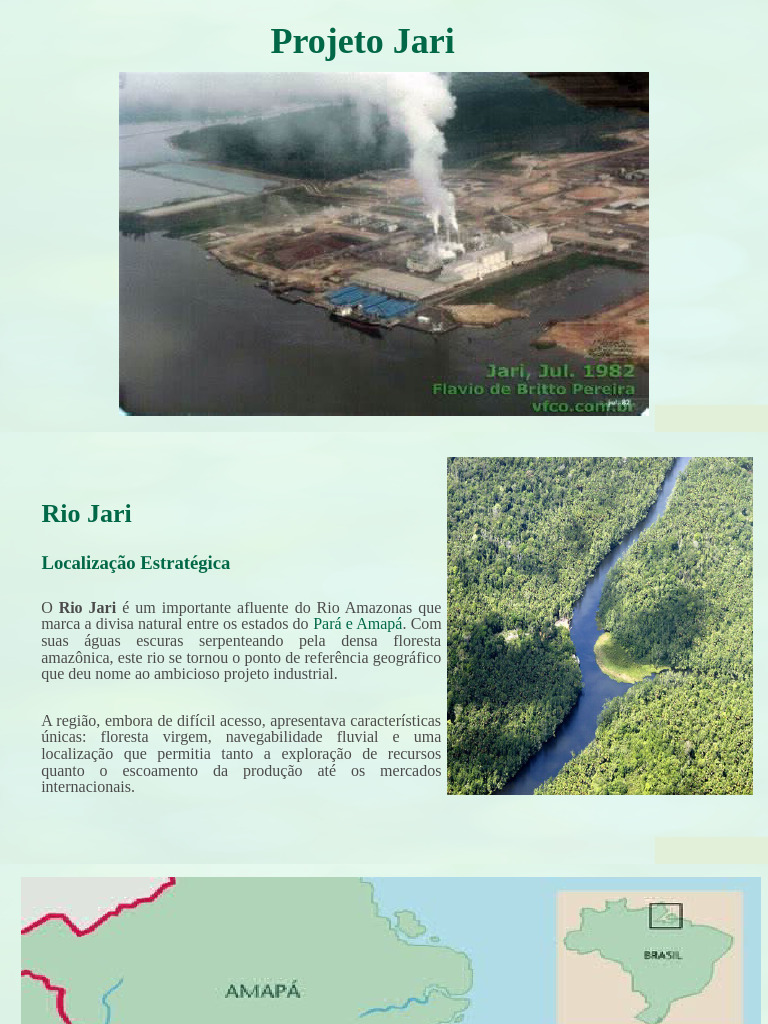Projeto Jari A Grande Aventura Industrial Na Amazonia | PDF | Floresta ...