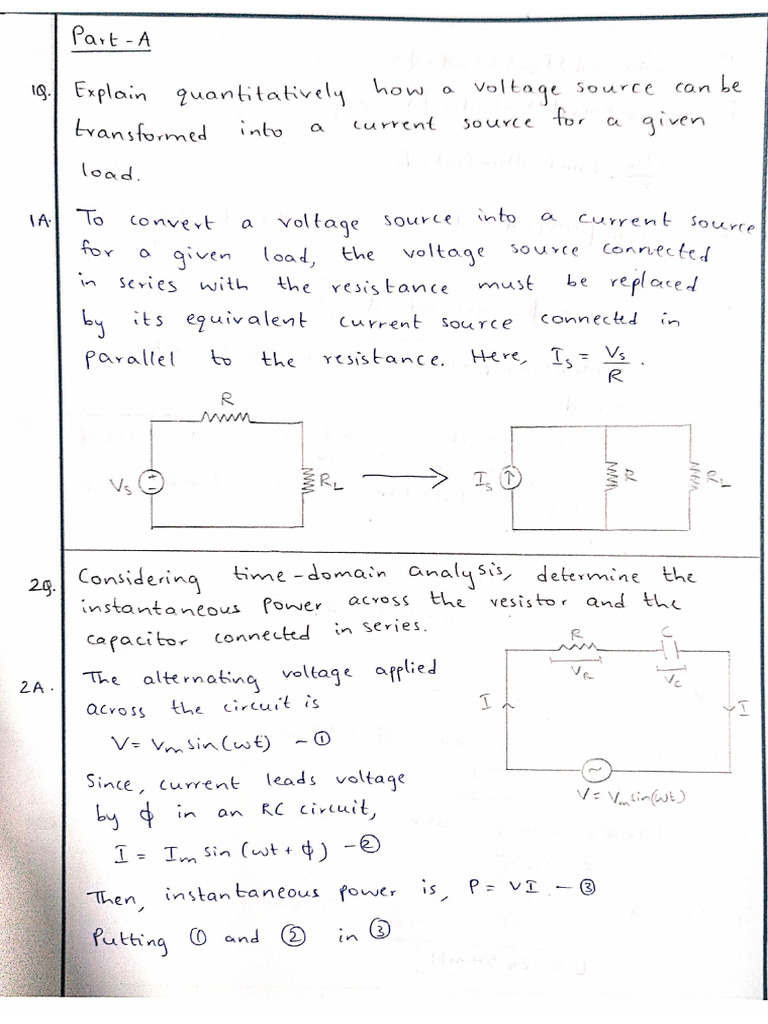 Bee Assignment | PDF