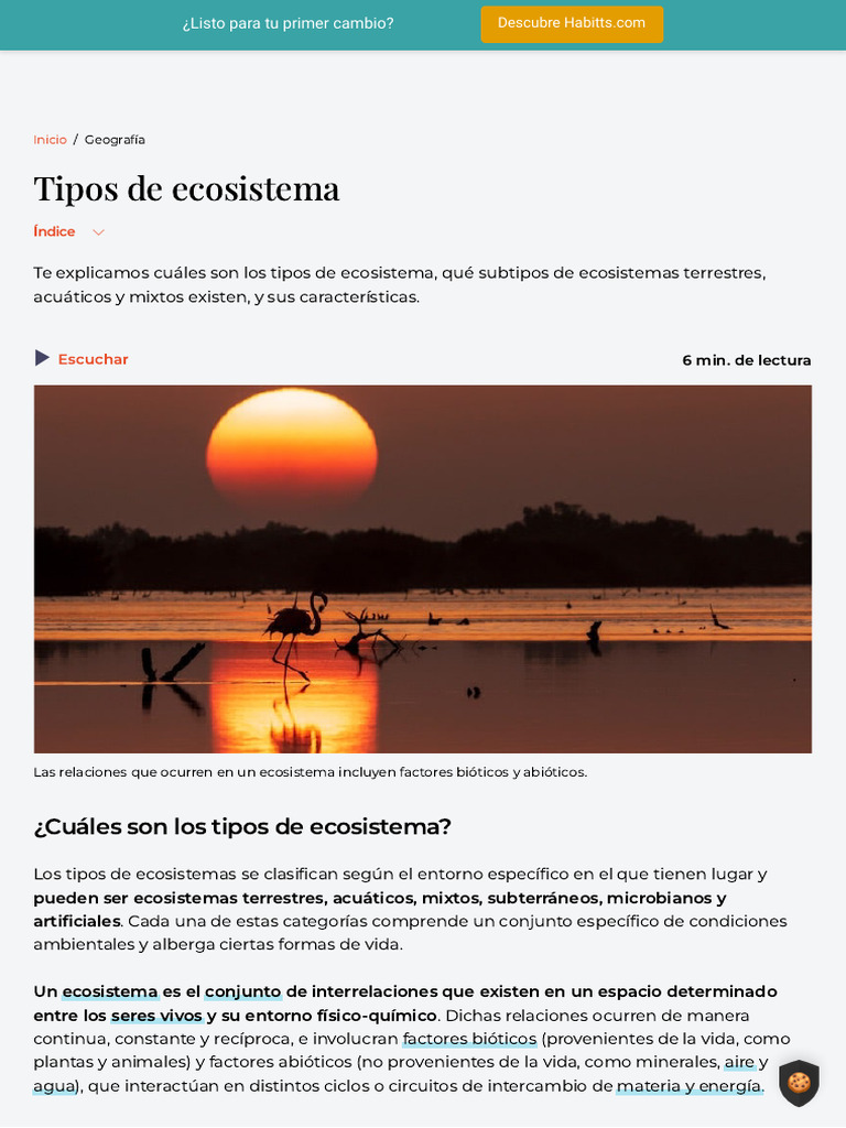 Tipos de ecosistemas y sus características | PDF | Selva | Ecosistema