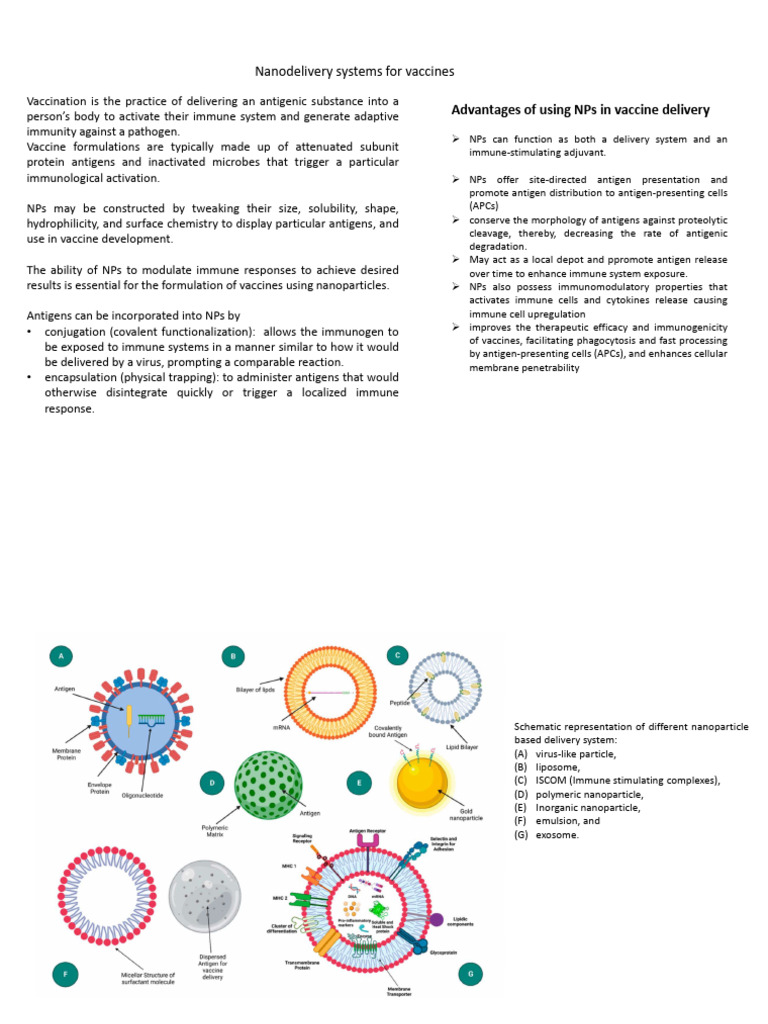 Nanoparticle Vaccine Delivery Systems | PDF | Liposome | Biotechnology