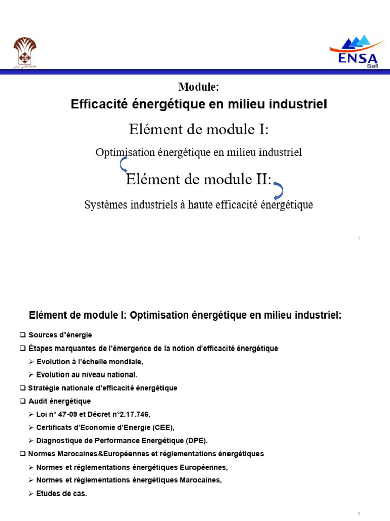 Efficacité Énergétique en Industrie | PDF | Fuels | Energy Development