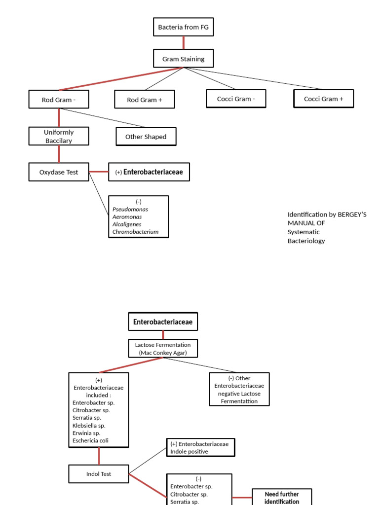 Bacterial Identification Techniques | PDF