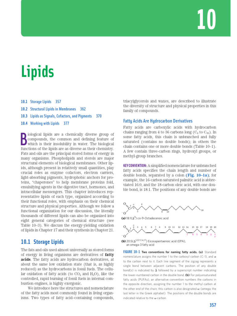 Overview of Biological Lipids | PDF | Lipid | Triglyceride