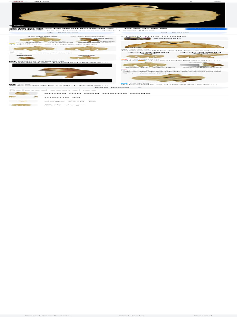 腹肌狗- Google Search | PDF