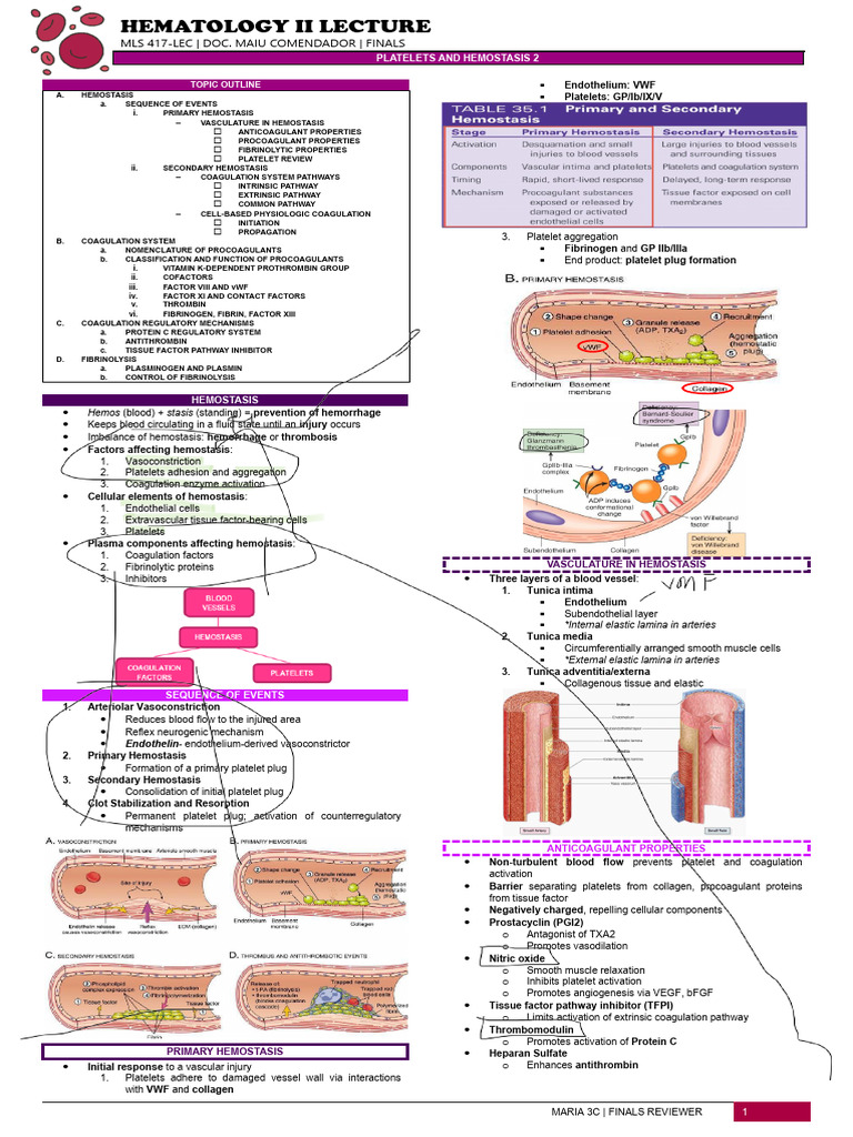 Mls 417-Lec Platelets and Hemostasis 2 | PDF | Coagulation | Platelet