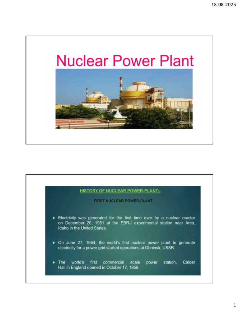 Nuclear Power Plant | PDF