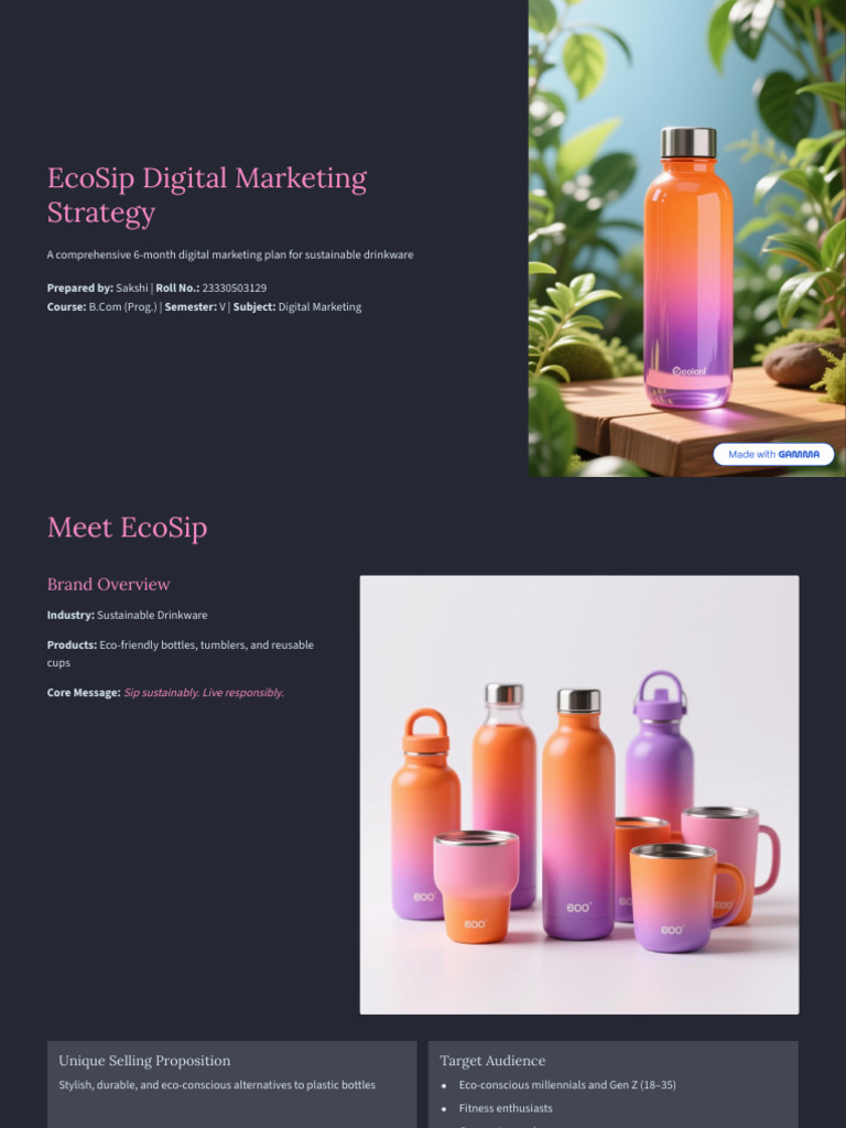 EcoSip 6-Month Digital Marketing Plan | PDF | Digital Marketing ...