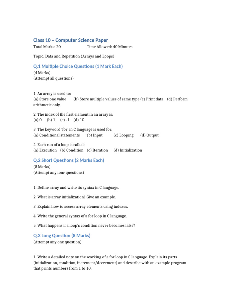Class 10 Computer Science Paper | PDF