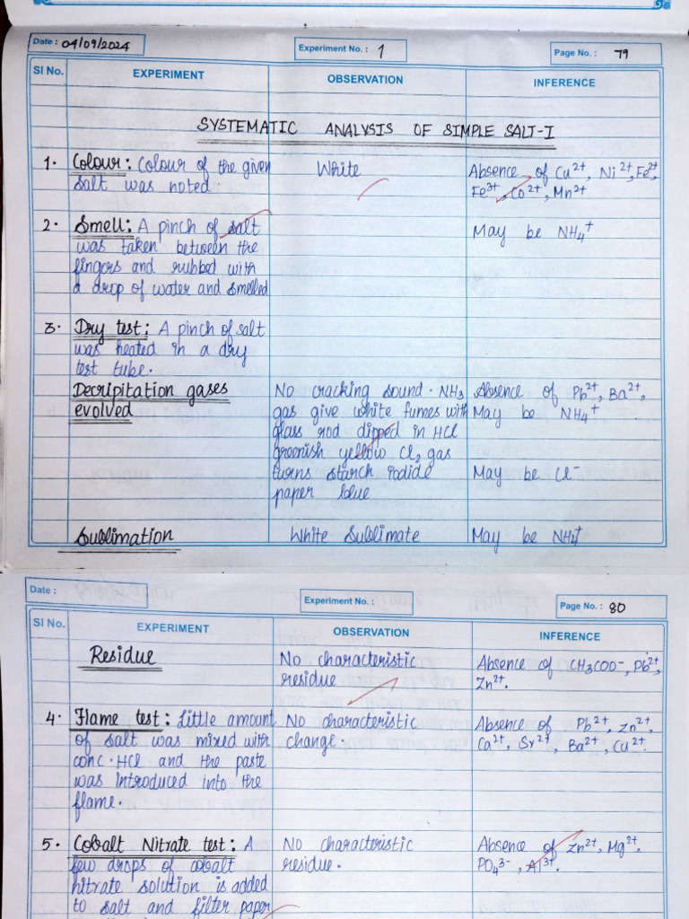 Simple Salt and Organic Compound Analysis | PDF
