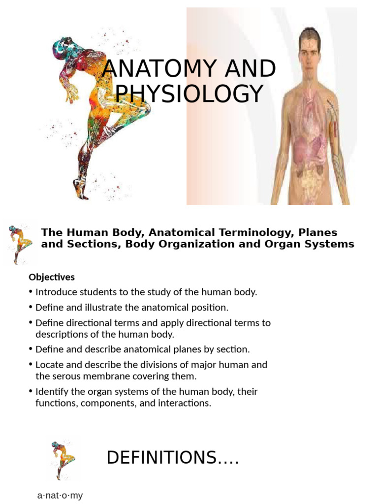 Human Body Anatomy and Physiology Guide | PDF | Anatomical Terms Of ...