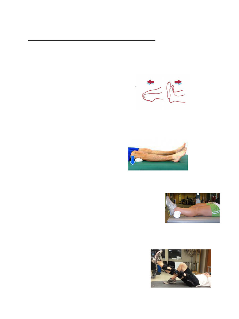 ACL Reconstruction Exercise Guide | PDF | Knee | Anatomical Terms Of Motion