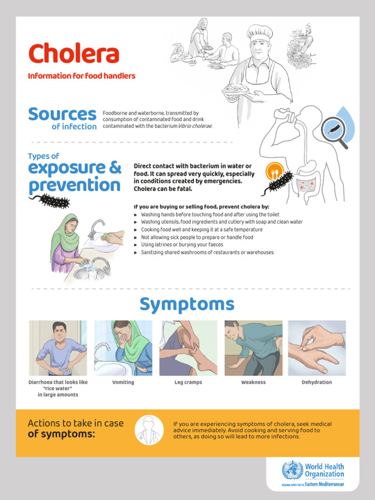 Cholera Prevention for Food Handlers | PDF